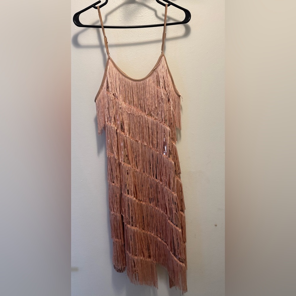 Fringe Sequin Dress in Pink and Gold